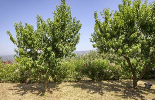 Holiday Home La Campagne by Interhome - Foto 43