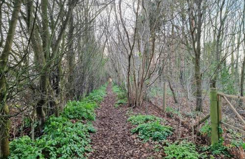 Heartwarming Cottage - Foto 14