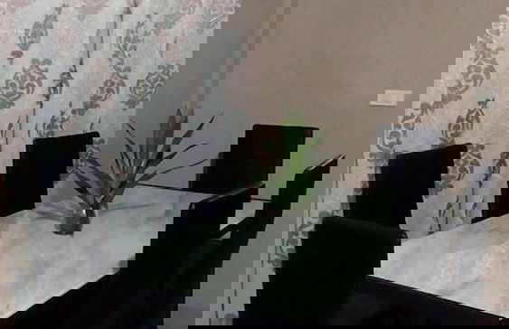 Banaba Tree House - Photo 7