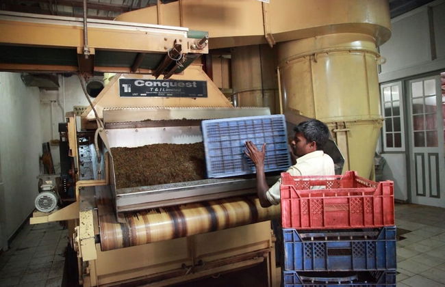 Explore Central Srilanka - Foto 3