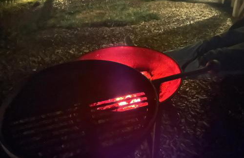 Cosy Devon Hut Woodland Views - Photo 65