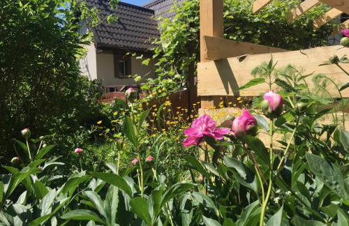 Na szlaku - Leśniki 17 - Foto 23