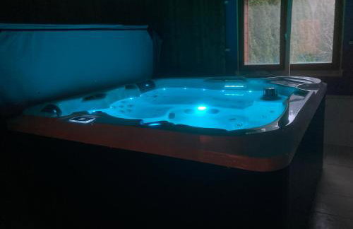 Chalet La Calougeotte, jardin, spa et sauna privés - Foto 27