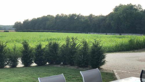 maison d'hôtes de l'orangerie 14 personnes - Foto 5