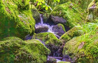 Hochkopf Suite - Premium Apartment - Schwarzwald - Photo 31