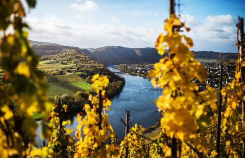 Weingut Knodt-Trossen - Foto 35