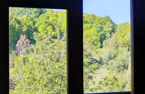 Els Tres Sols - Foto 64