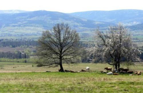 Holiday Home in Gajówka mit Terrasse und Garten by Interhome - Foto 10