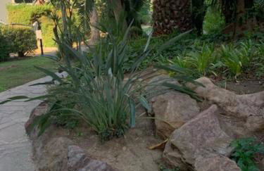 Lovely cosy nest close to the centre of Cannes - Foto 15