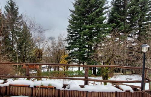 Il Paradiso Della Montagna - Foto 11