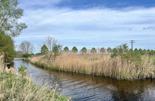 Kranichrast - Photo 20