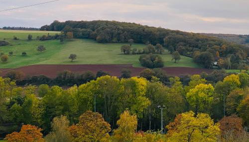 PenthouseBlick - Foto 2