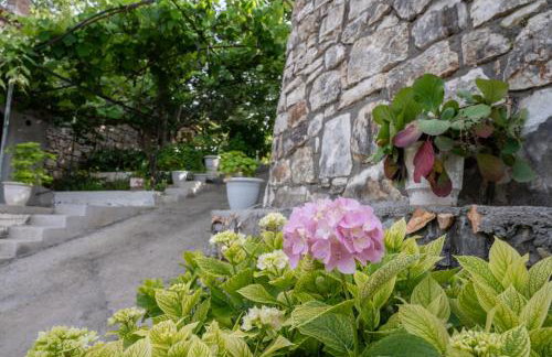 Country House Hortensia - Foto 26