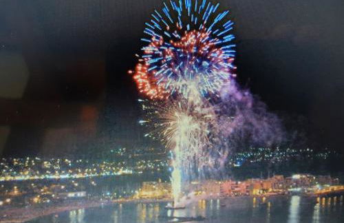 Appartement(4-6 pers) Superbe vue mer, Rés. Les RIVES DE LA FAVIERE - Foto 28