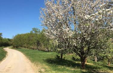 Ferienwohnung Weinbergsblick optimale Stadtnähe - Foto 24