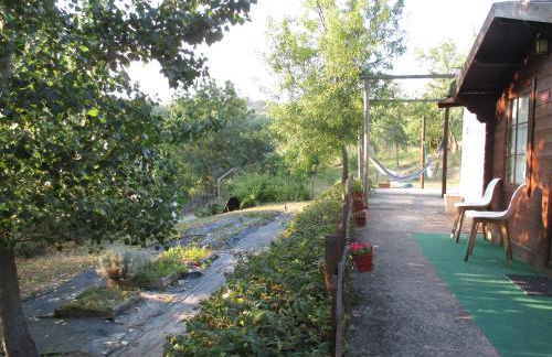 Bungalow "A Choupana" - Quinta da Carvoíça - Vale Pradinhos - Foto 6