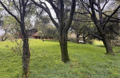 Bear Hollow by Sequoia National Park - Foto 27