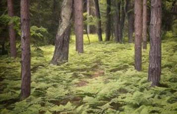 Barton City Lodge - Foto 35