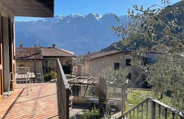 Casa Teodoro - Gelsomino, Ulivi & Orchidea - Foto 56