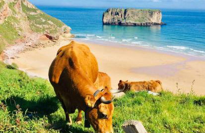 Gestiona2R - Villa con finca, Piscina-Padel-Golf - Foto 35