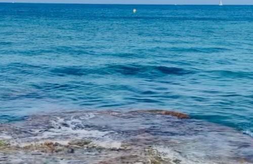 MiMar Jávea - Foto 35