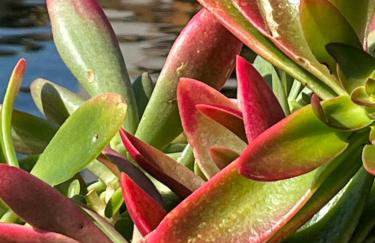 Agriturismo Corte Cea - Foto 13