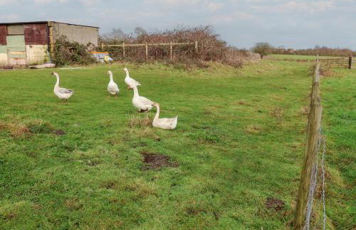 Winston Hall - Photo 53