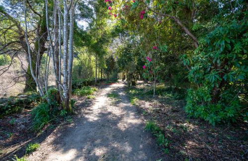 Quinta das Lamas - Antiga Adega - Foto 39