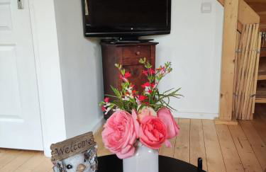 Au chant des oiseaux - rouge gorge - Foto 8