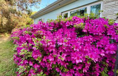 Casita Theresa- 5 min to downtown 15 min to beach - Foto 42