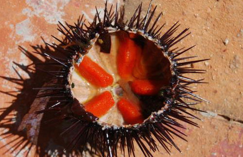 Il riposo dei Giganti - Photo 18