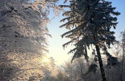 Respire - przytulny dom z klimatem - Foto 23