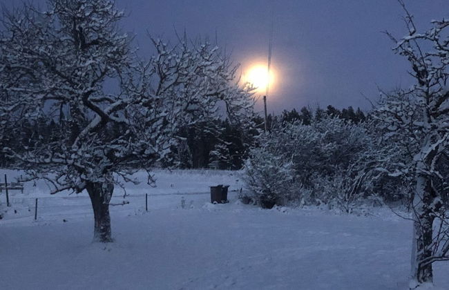 Captivating 1-bed Studio - Foto 18