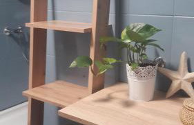 Apartments Nadine Mljet Komfort mit Meerblick - Foto 51