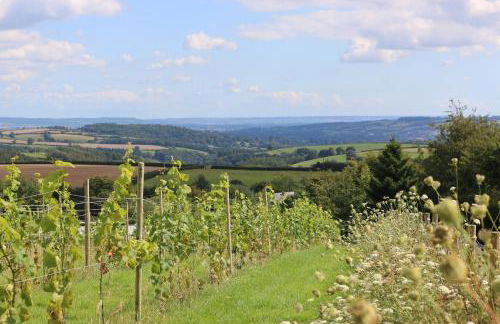 Quoit X Barn - Foto 42