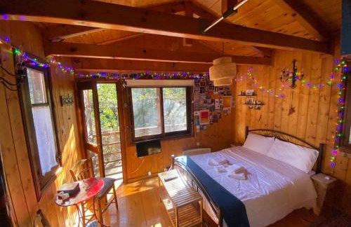 Η Χαρούμενη Αρκούδα - Foto 1