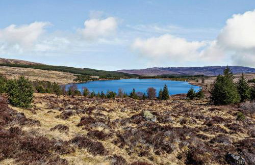 1 Bed in Alness oc-ca232 - Foto 11