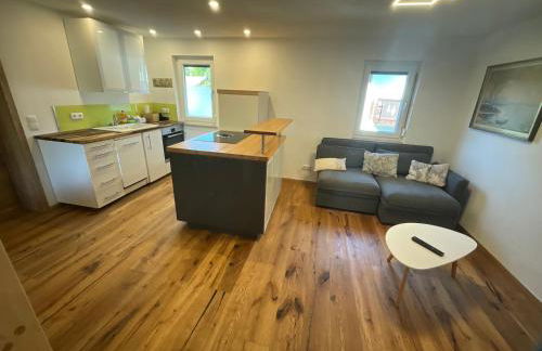 Ferienwohnung in der Au - Foto 1