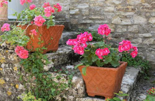 Garden Flat - Foto 9