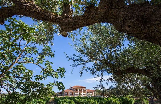 Aneli Villas - Villa Anastasia - Foto 25