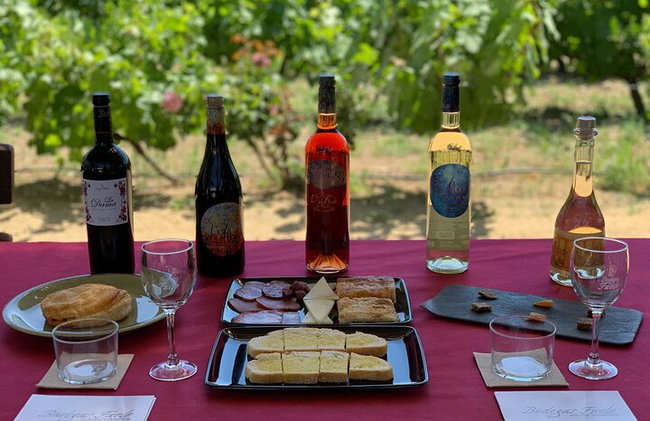 Alicante; Recorrido Vinícola Bodega Cata Vinos, Comida y Traslado - Foto 27