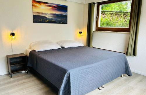 Das-Urlaubszuhause-fuer-Familien-Grossfamilien-Mehrfamilien-und-kleine-Gruppen-bis-zum-12-Personen-mit-vielen-Unterhaltungsmoeglichkeiten-im-Harz - Foto 18