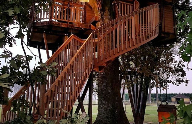 Agriturismo Relais Tenuta Il Cigno - Photo 9