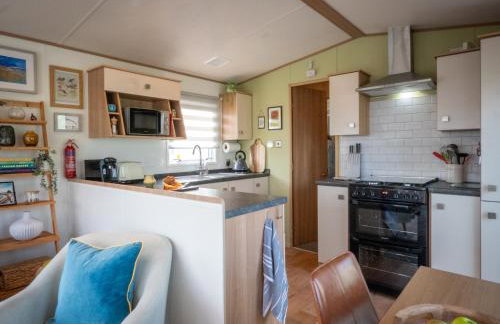 Little Curlew, Ynyslas, Borth - Foto 5