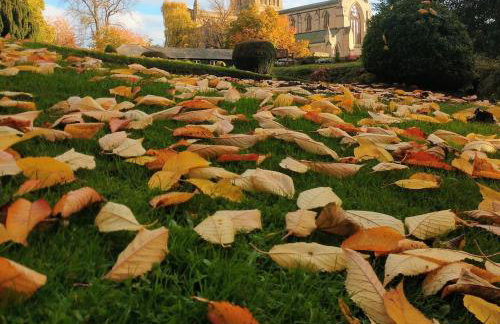 Carpenters Cottage near Hadrian's Wall - Foto 22