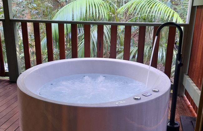 Treetops Accommodation Montville - Photo 47