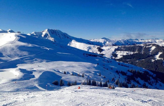 Apartment in Mittersill Near Ski Slopes - Photo 26