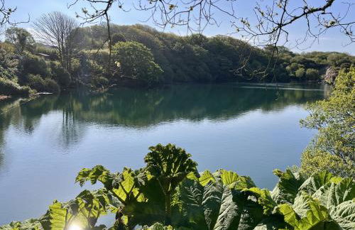 Tresowes Green Cottage - Foto 54