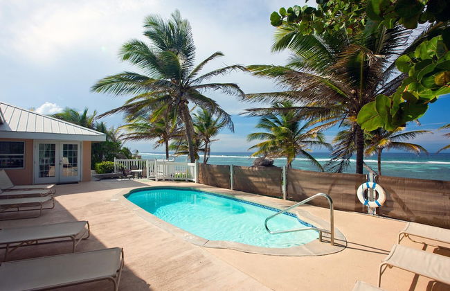 Sea Grape - Photo 22