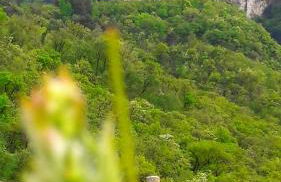 Casa alla Fontana - Foto 31